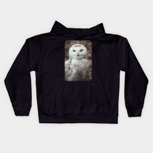 Golden Eye Snowy Owl Kids Hoodie